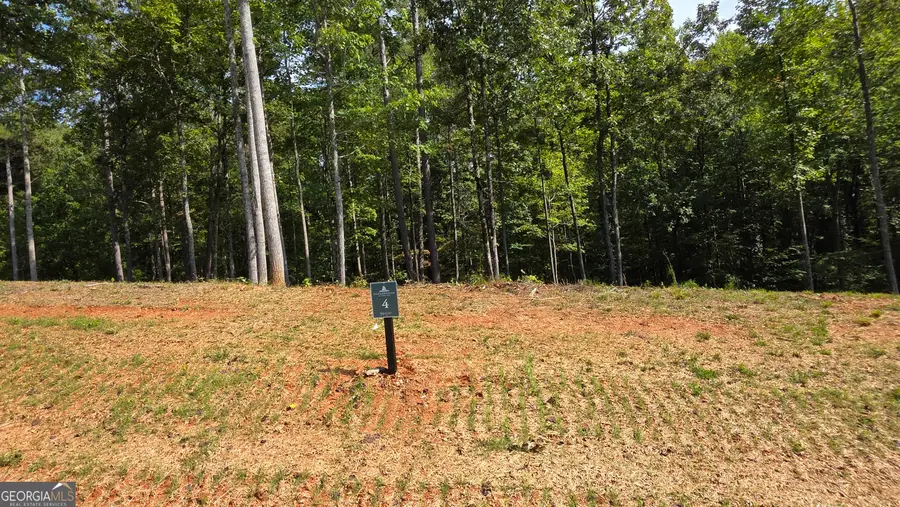 4 Springfield Parkway, Ellijay, GA 30540 - Image #2