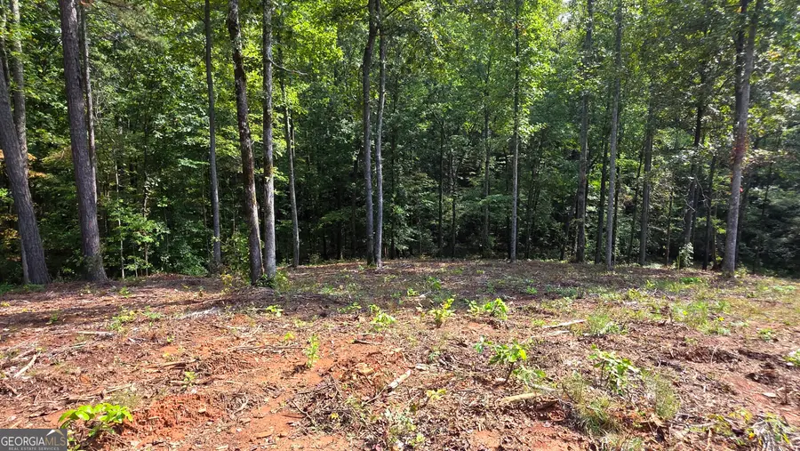 4 Springfield Parkway, Ellijay, GA 30540 - Image #3