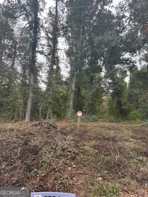 594 Cook Drive, Ellenwood, GA 30294