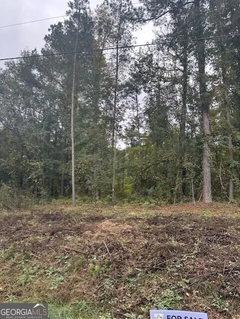 594 Cook Drive, Ellenwood, GA 30294 - Image #3