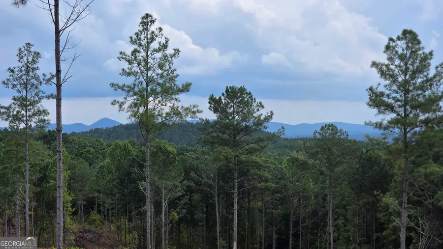 31 Springfield Parkway, Ellijay, GA 30540 - Image #3