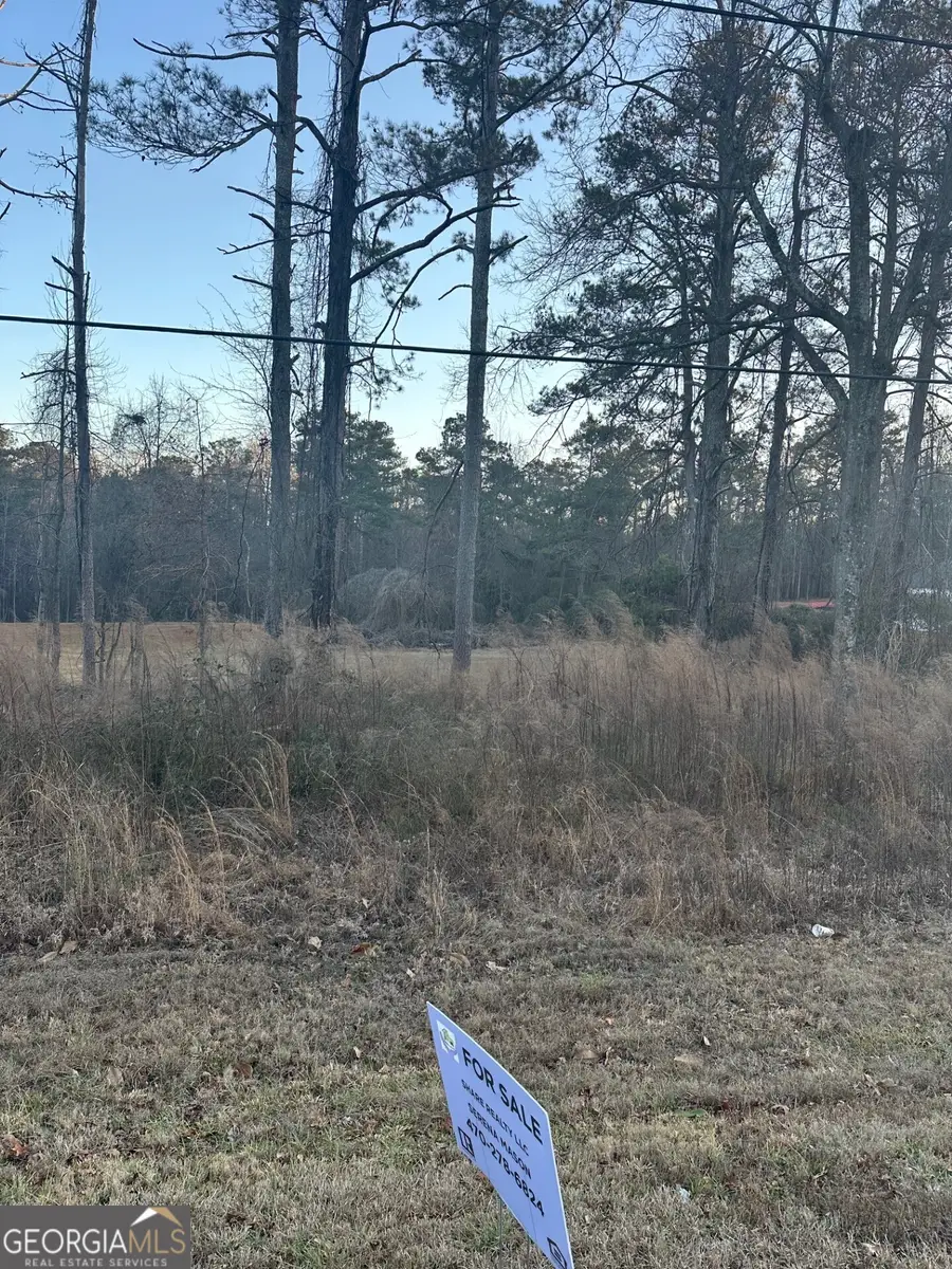 578 Cook Drive, Ellenwood, GA 30294 - #2