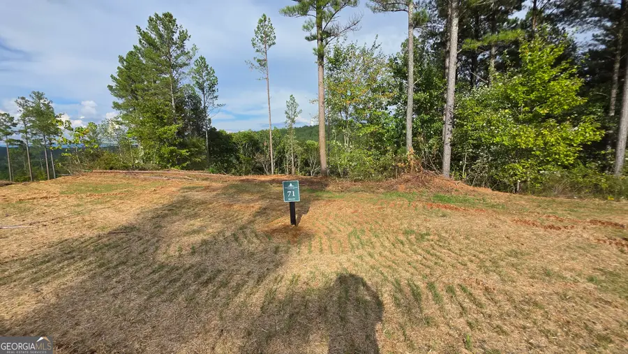 71 Elkton Court, Ellijay, GA 30540 - Image #3