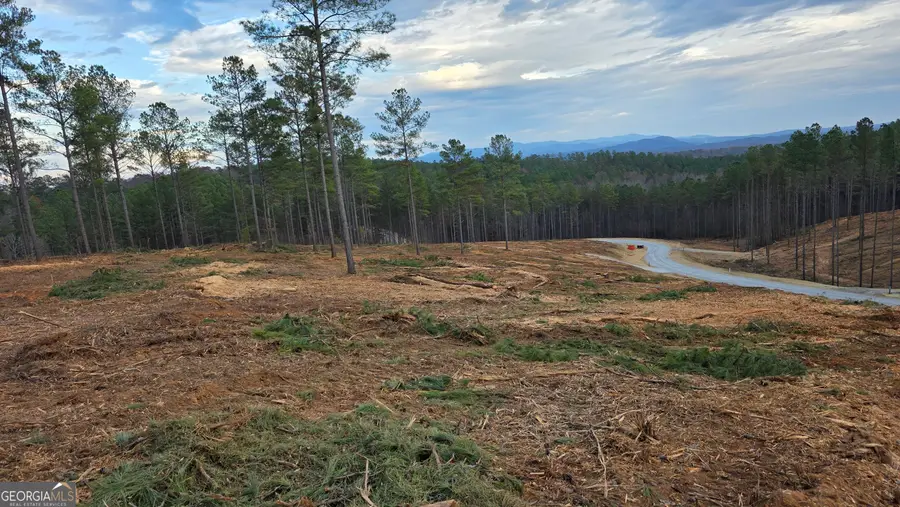 103 Springfield Parkway, Ellijay, GA 30540 - Image #3