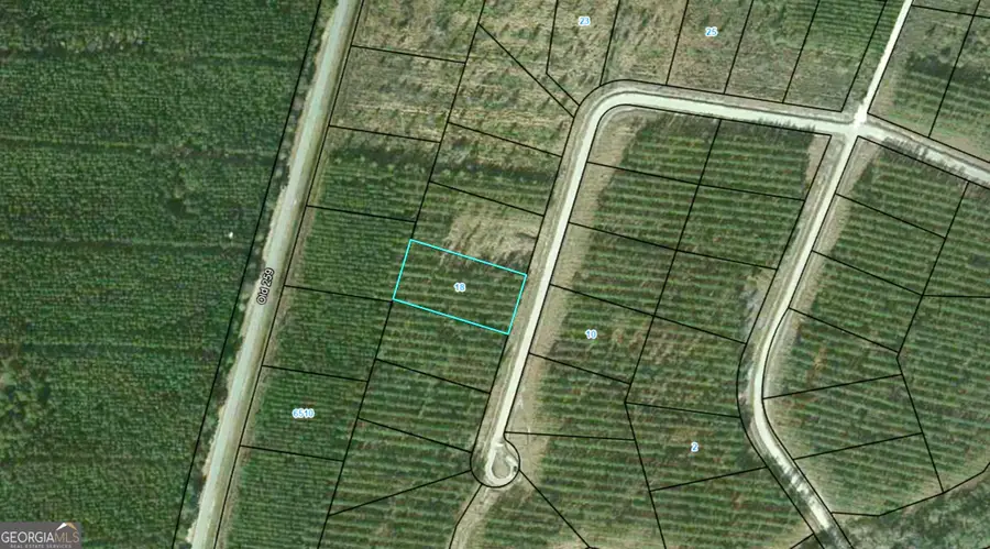 18 Satilla Plantation, Waynesville, GA 31566 - Image #2