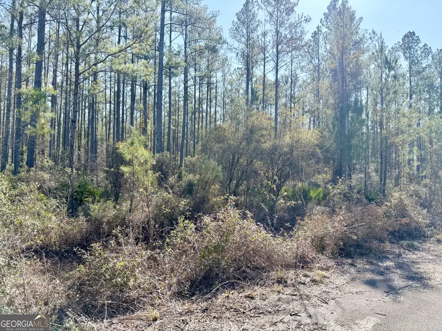 18 Satilla Plantation, Waynesville, GA 31566 - Image #3