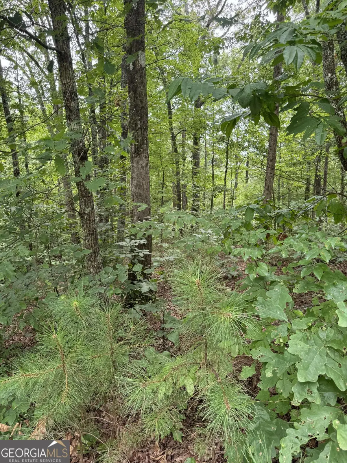 LOT 5 Harris Creek Drive, Ellijay, GA 30540 - Image #1