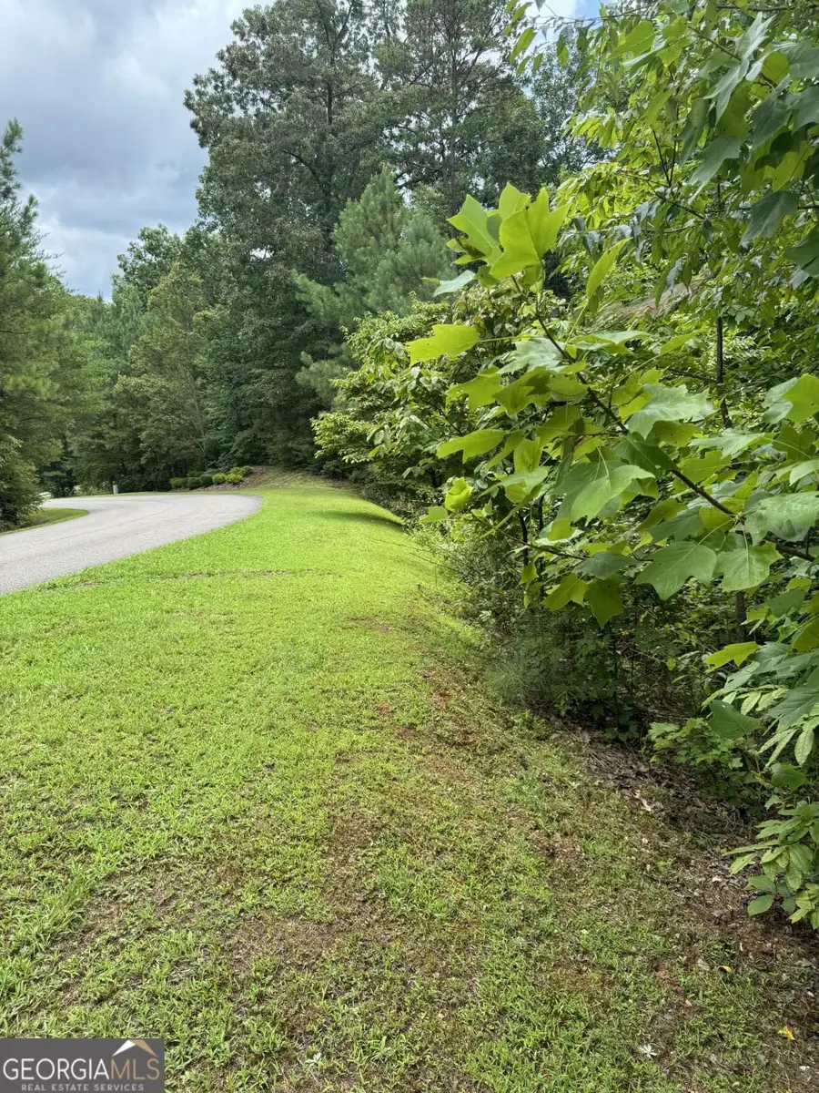 LOT 5 Harris Creek Drive, Ellijay, GA 30540 - Image #3