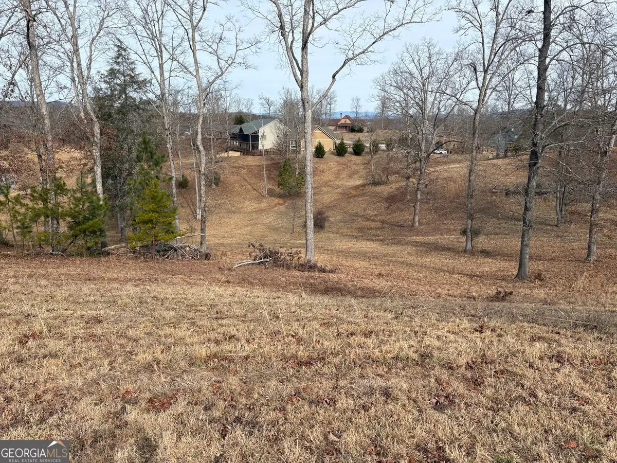 LOT 29 Hogue Way, Blairsville, GA 30512 - #1