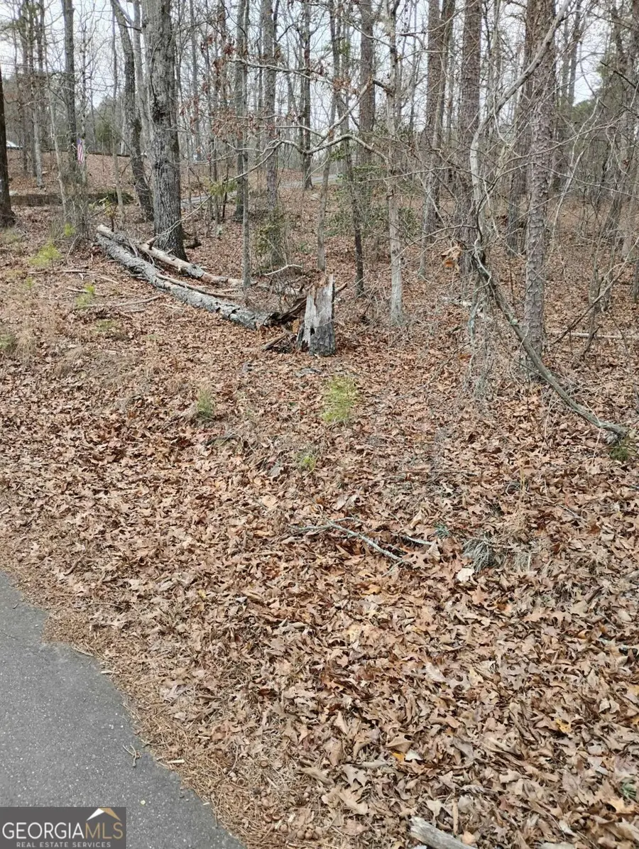 0 Willie West Road, Canton, GA 30114 - #3