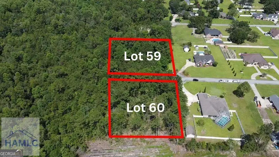 113 Vixenhill Drive, Jesup, GA 31546 - #3