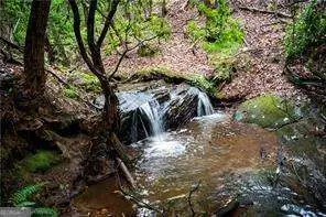 0 Jones Road, Ball Ground, GA 30107 - Image #1