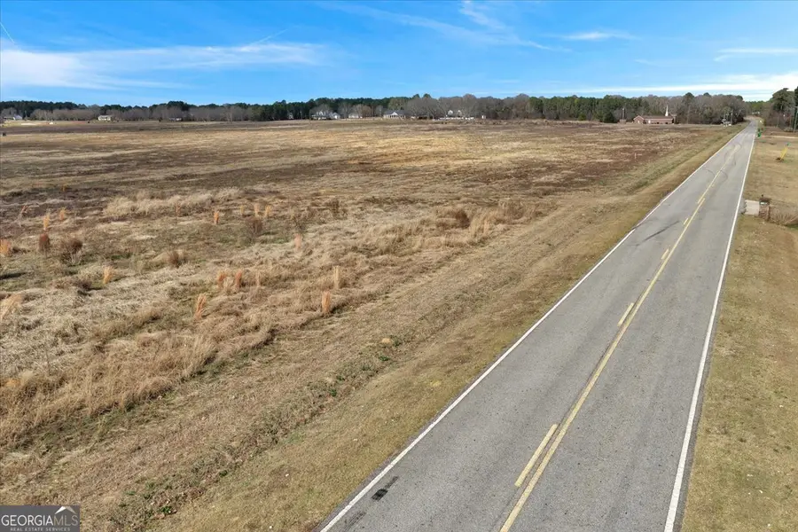LOT 3 Sewell Road, Elko, GA 31025 - #3