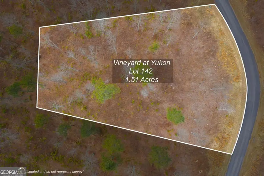 LOT 142 Twisted Oak Road, Talking Rock, GA 30175 - #2