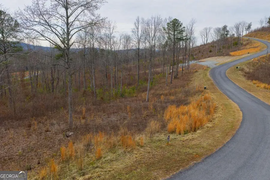 LOT 142 Twisted Oak Road, Talking Rock, GA 30175 - #3