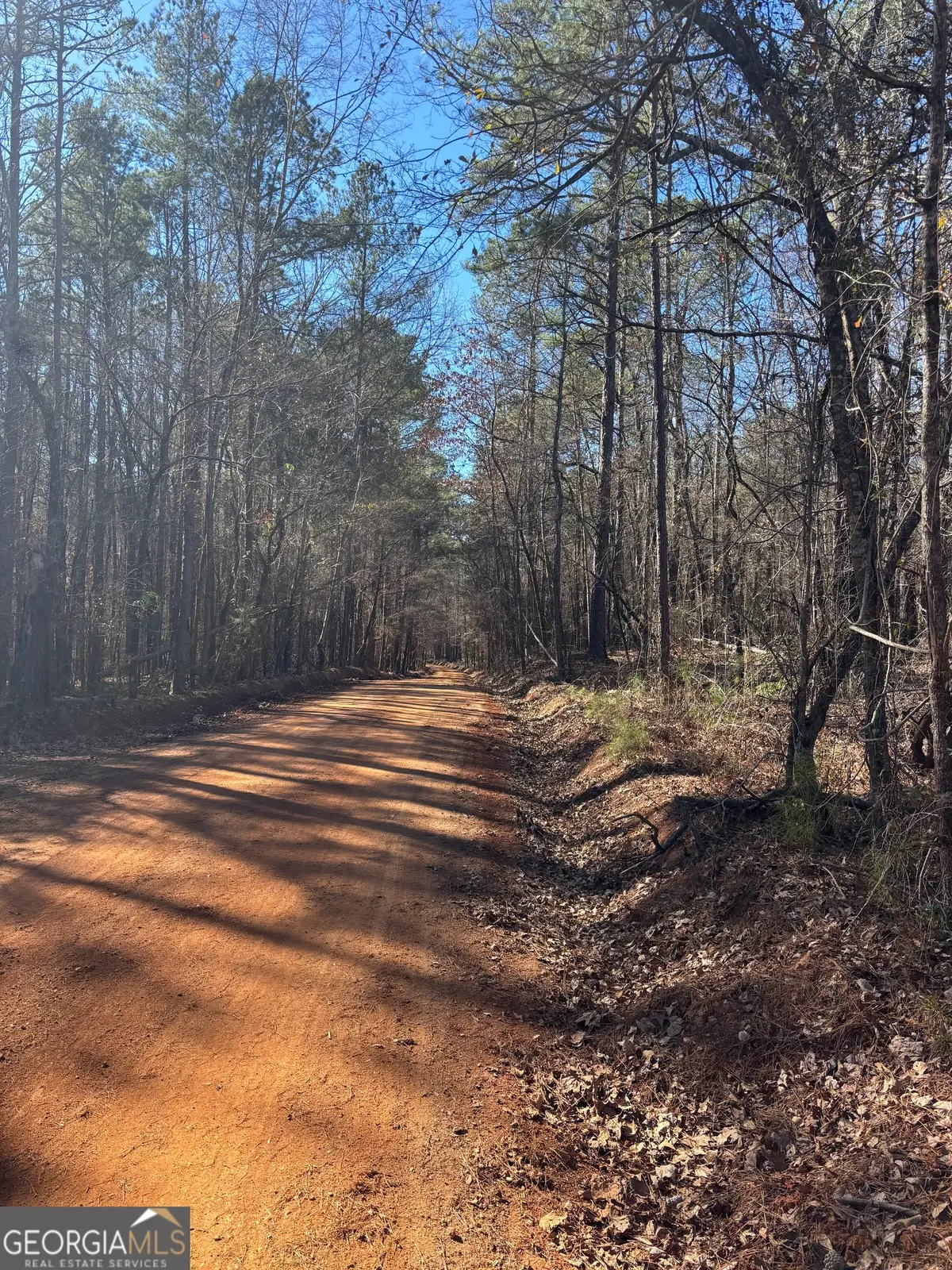 00 Carl Mathis Road, Talbotton, GA 31827 - Image #1