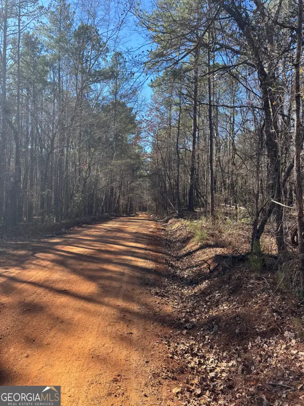 00 Carl Mathis Road, Talbotton, GA 31827