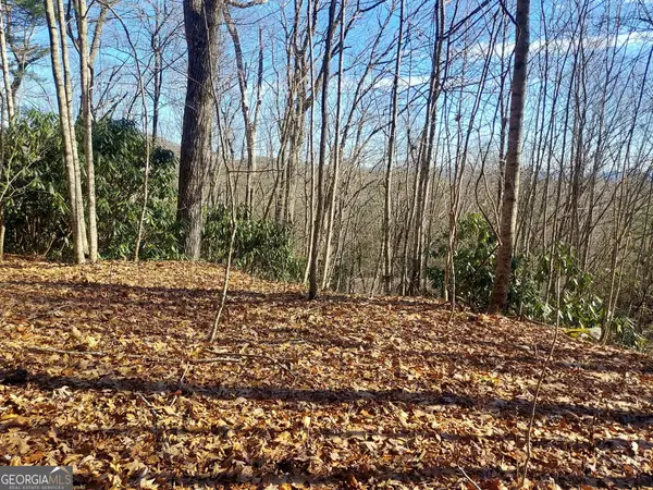 0 LOT 14 & 15 Honey Bear, Dillard, GA 30537