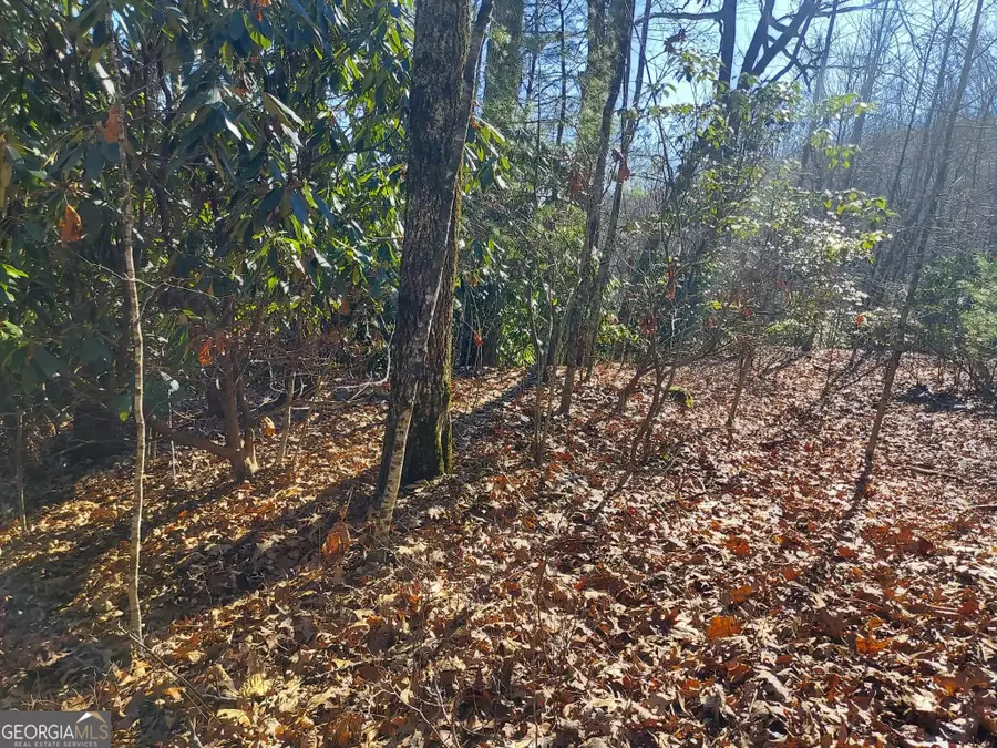 0 LOT 14 & 15 Honey Bear, Dillard, GA 30537 - Image #3