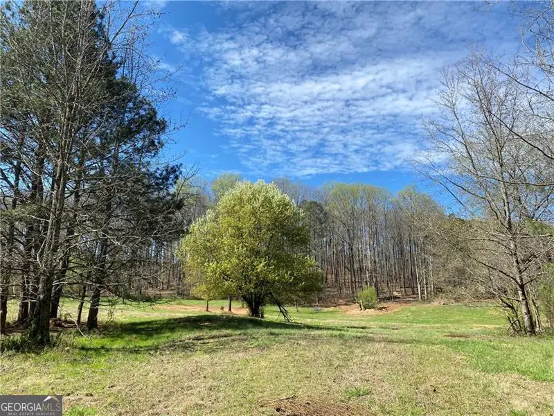 5519 Union Hill Road, Alpharetta, GA 30004 - #3