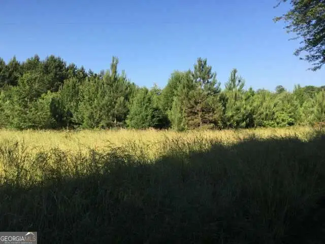 19.6 ACRES Grant Road, Fayetteville, GA 30215 - Image #1