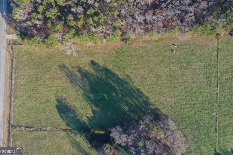 19.6 ACRES Grant Road, Fayetteville, GA 30215 - #2