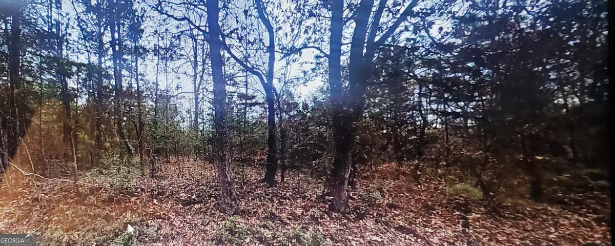 0 Sweetwater Church Road, Dawsonville, GA 30534 - #1