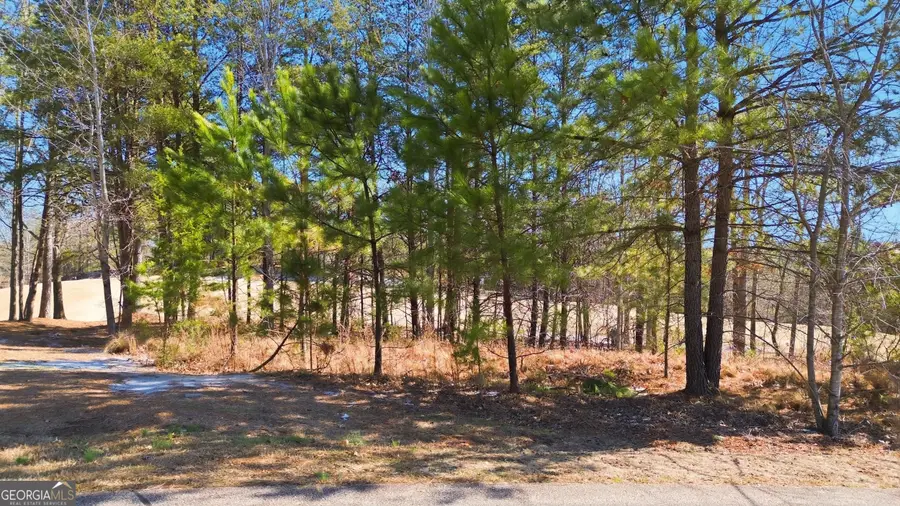 101 Cottage Lane, Toccoa, GA 30577 - Image #2