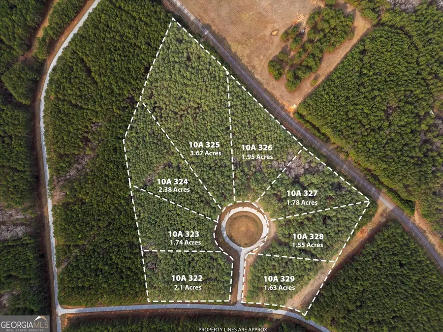 0 Magnolia Court, Tignall, GA 30668 - Image #2