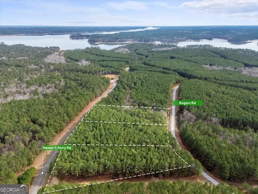 0 Rogers Road, Tignall, GA 30668 - Image #3