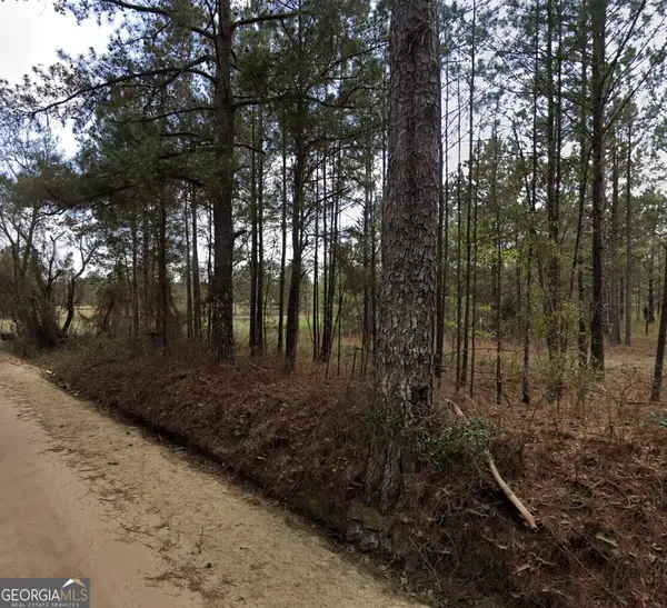 0 Nobles Road, Chester, GA 31012