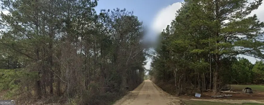 0 Nobles Road, Chester, GA 31012 - #2