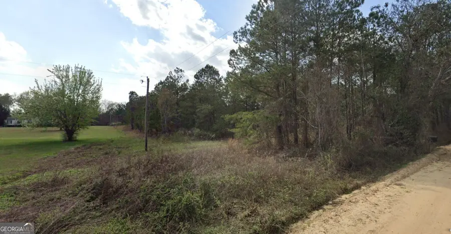 0 Nobles Road, Chester, GA 31012 - #3