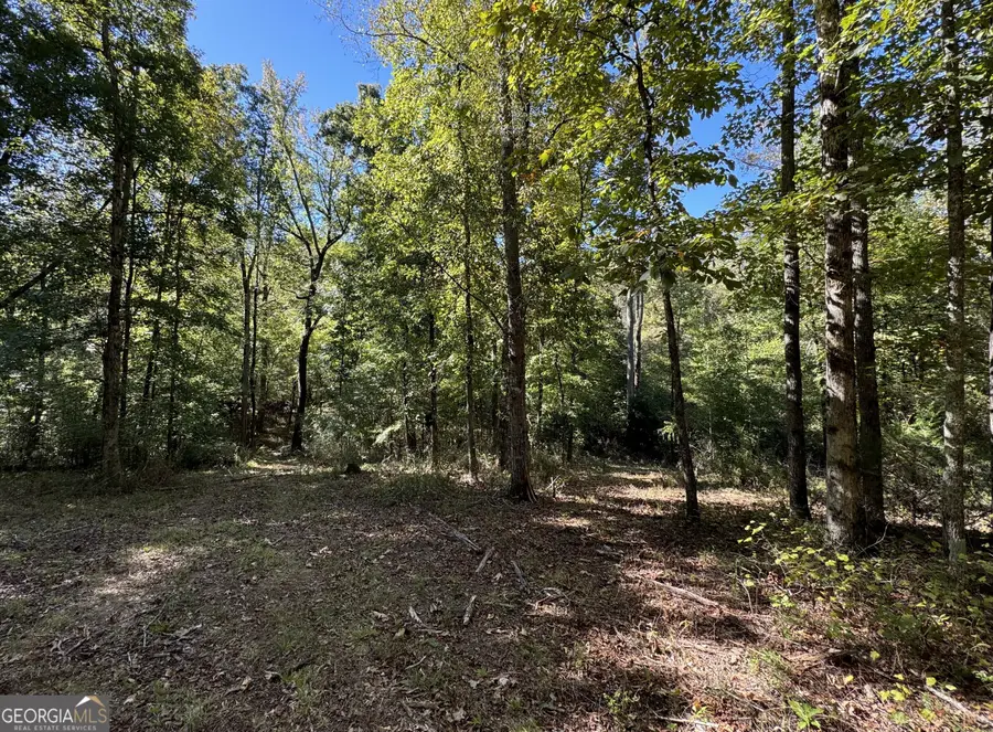 200 AC W Ellis Road, Griffin, GA 30223 - Image #3