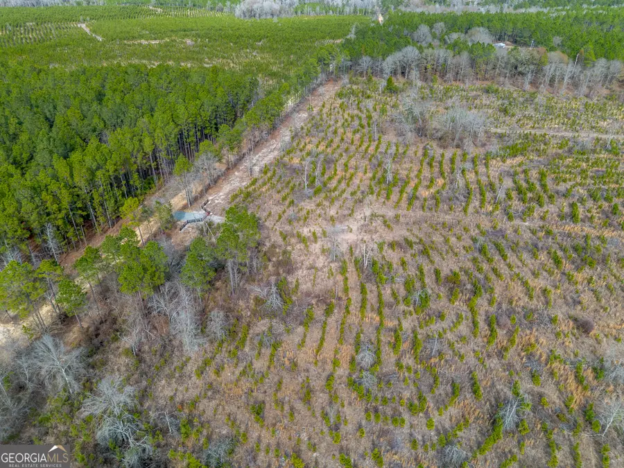 TRACT 1 Wilson Woodard Road, Eastman, GA 31023 - Image #2