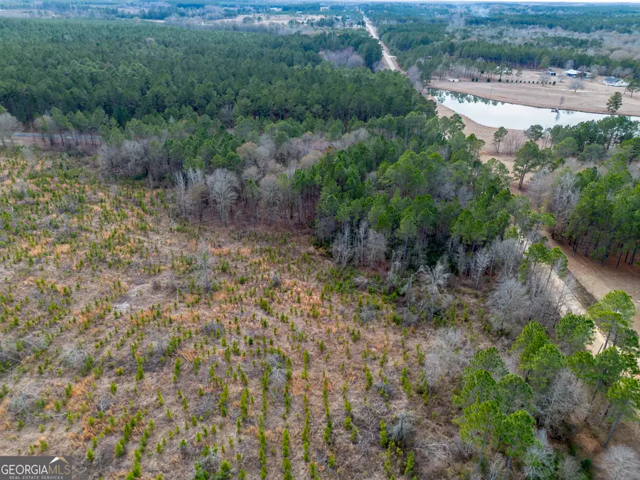 TRACT 1 Wilson Woodard Road, Eastman, GA 31023 - Image #3