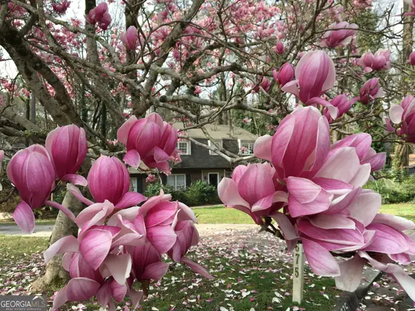 3675 Toxaway Court, Atlanta, GA 30341