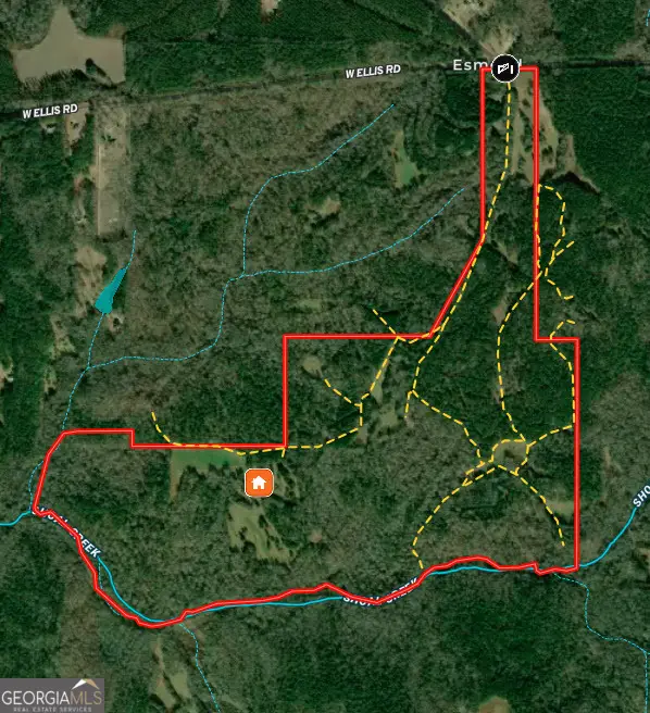 282.37 AC W Ellis Road, Griffin, GA 30223 - Image #1