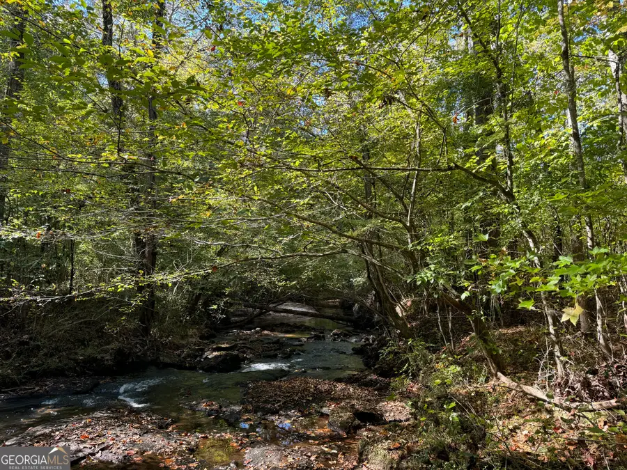 282.37 AC W Ellis Road, Griffin, GA 30223 - Image #2