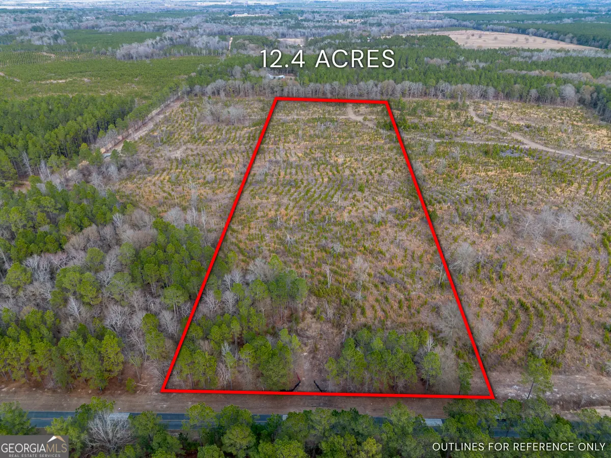 TRACT 2 Bell Line Road, Eastman, GA 31023 - Image #1