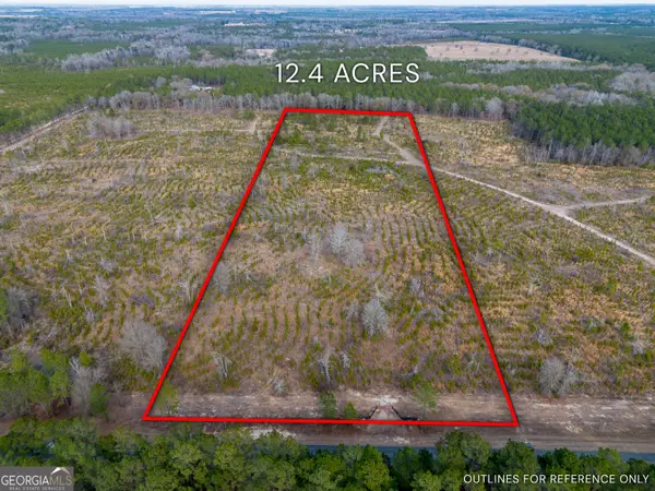 TRACT 3 Bell Line Road, Eastman, GA 31023