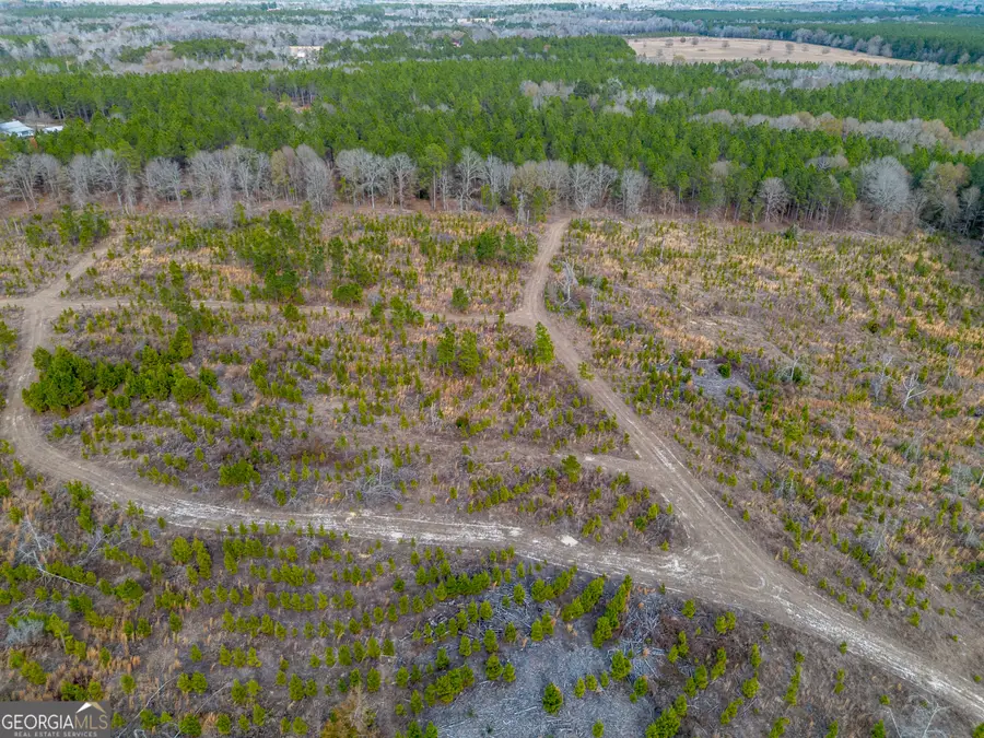 TRACT 3 Bell Line Road, Eastman, GA 31023 - Image #2