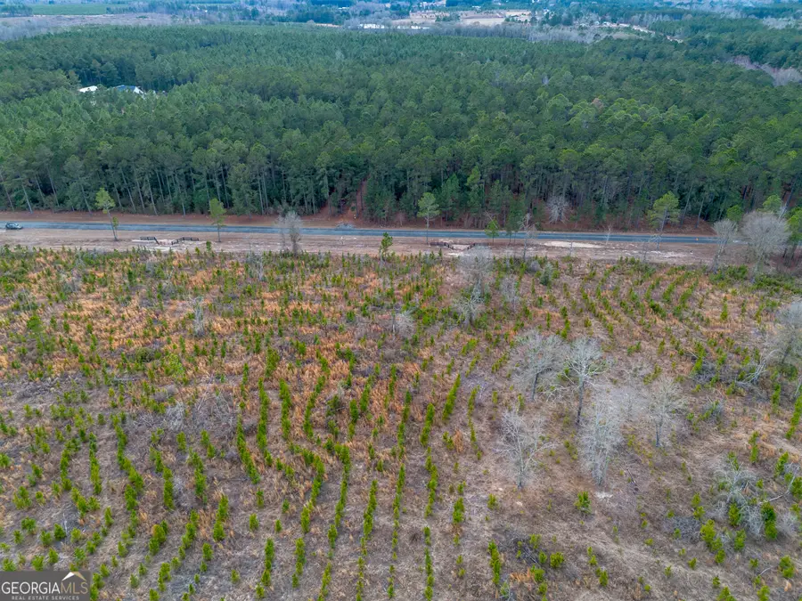 TRACT 3 Bell Line Road, Eastman, GA 31023 - Image #3