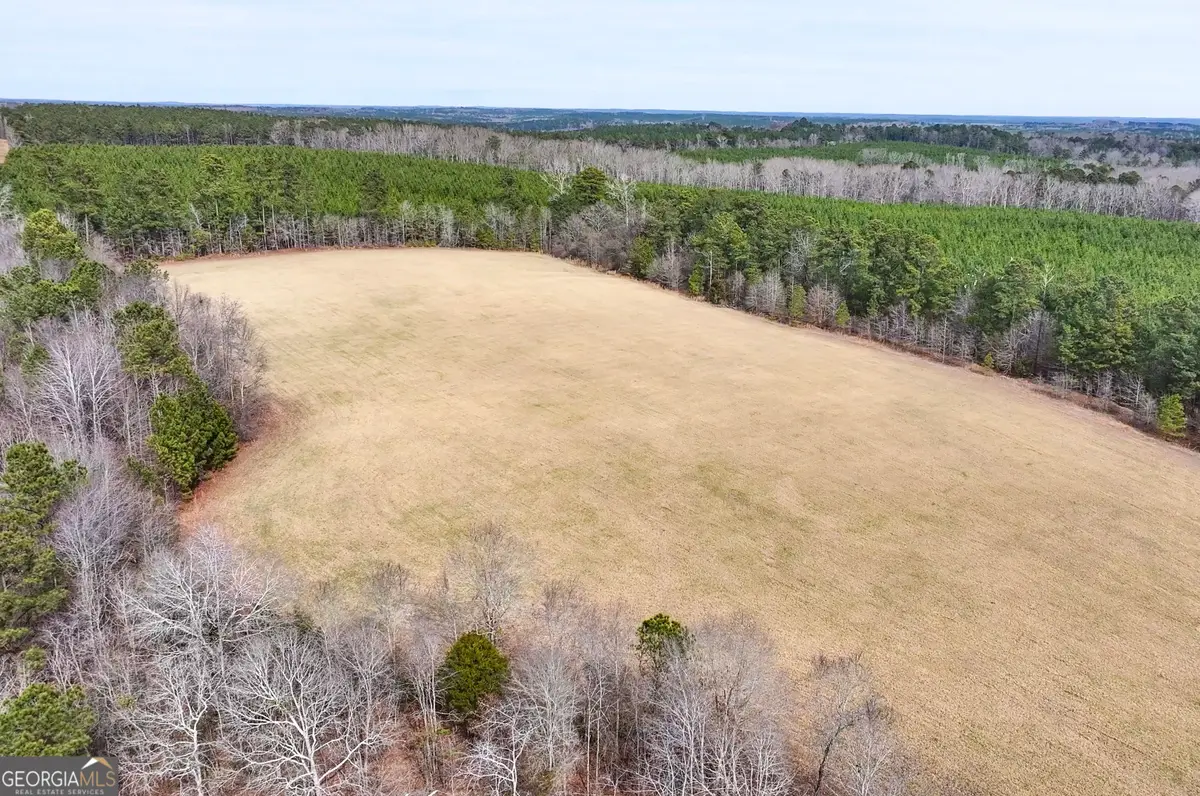 0 Colvin, Forsyth, GA 31029 - Image #1