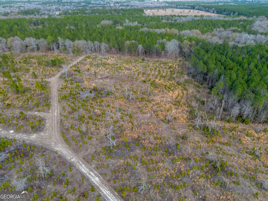 TRACT 4 Bell Line Road, Eastman, GA 31023 - Image #2