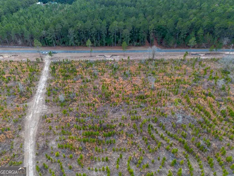 TRACT 4 Bell Line Road, Eastman, GA 31023 - Image #3