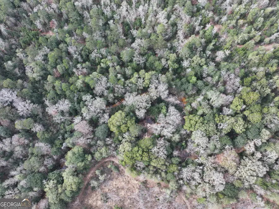 0 County Road 354, Elba, AL 36323 - #3