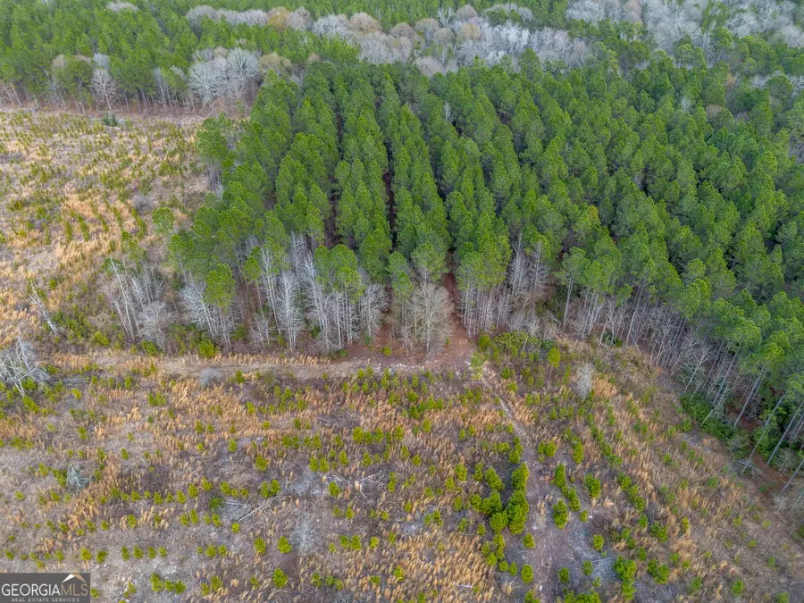 TRACT 5 Bell Line Road, Eastman, GA 31023 - Image #2
