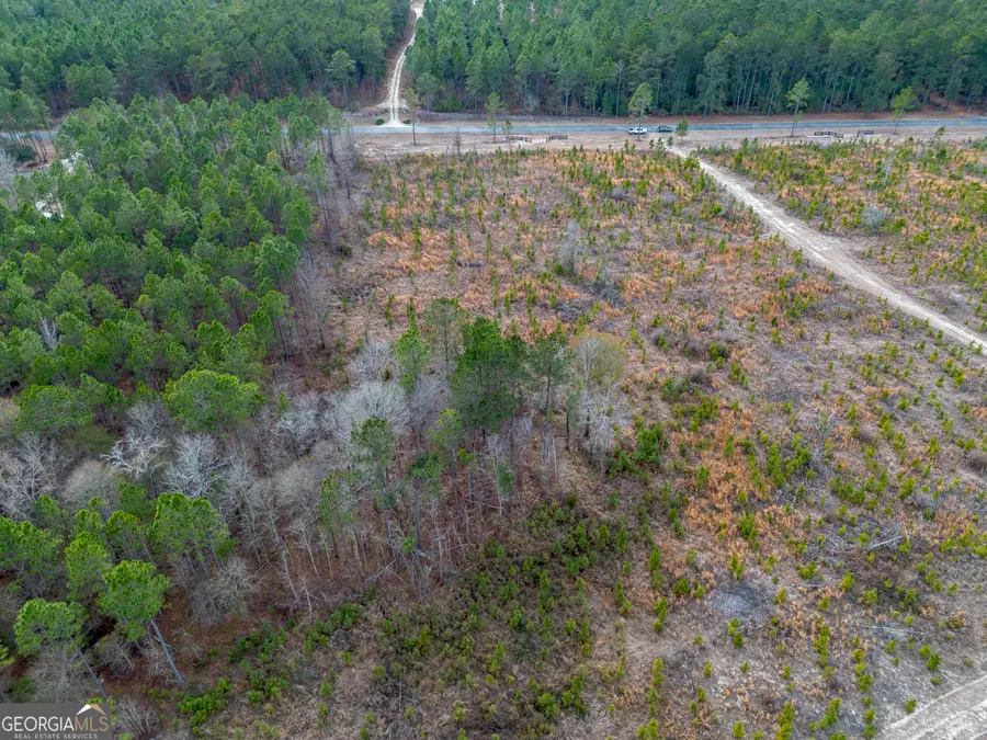 TRACT 5 Bell Line Road, Eastman, GA 31023 - Image #3