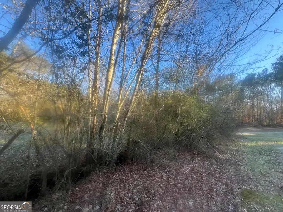 587 E Johnson Street, Temple, GA 30179 - #3